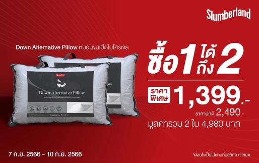 Free,  pillow,  buy 1 get 1, slumberland, vono, starryNite